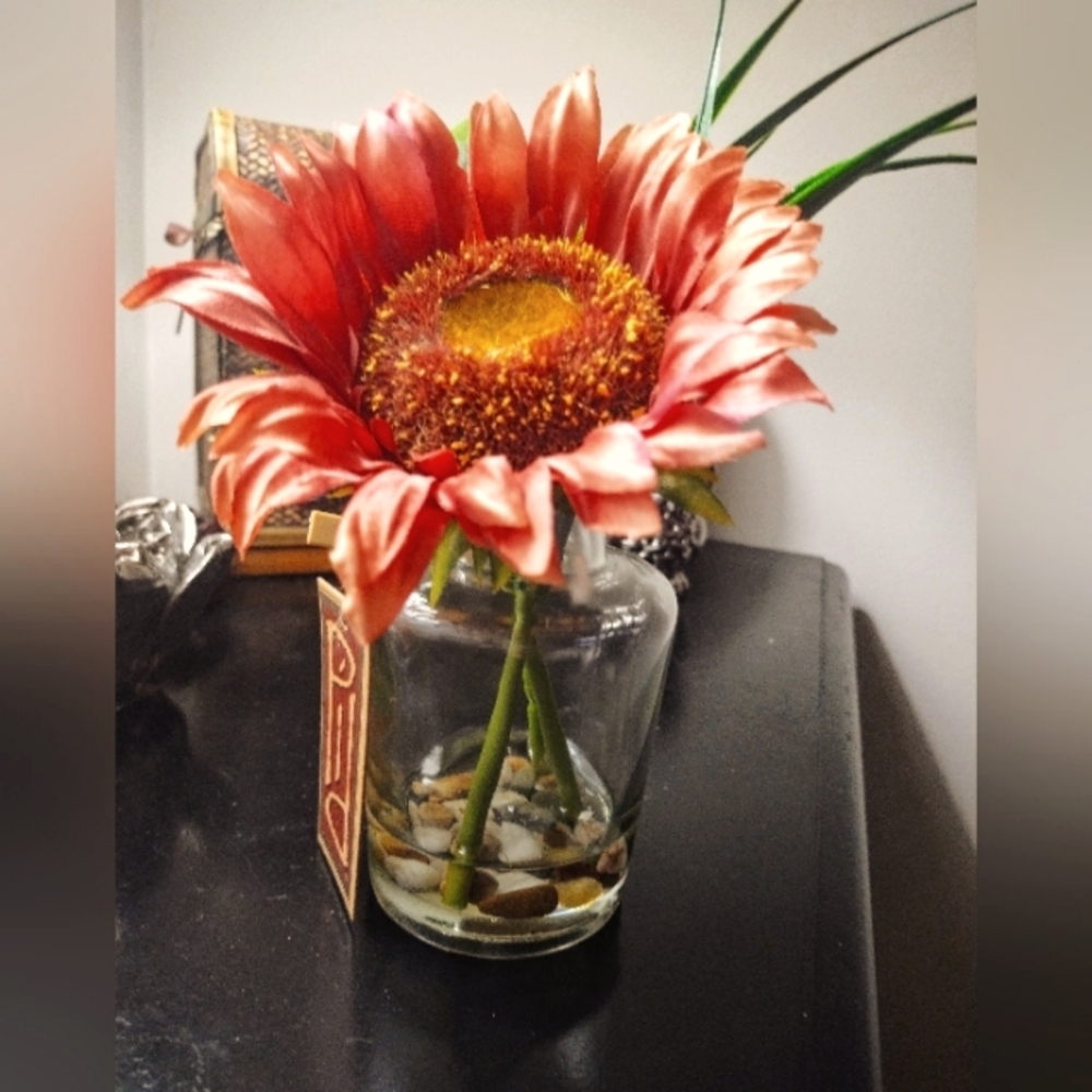 Flower in a vase